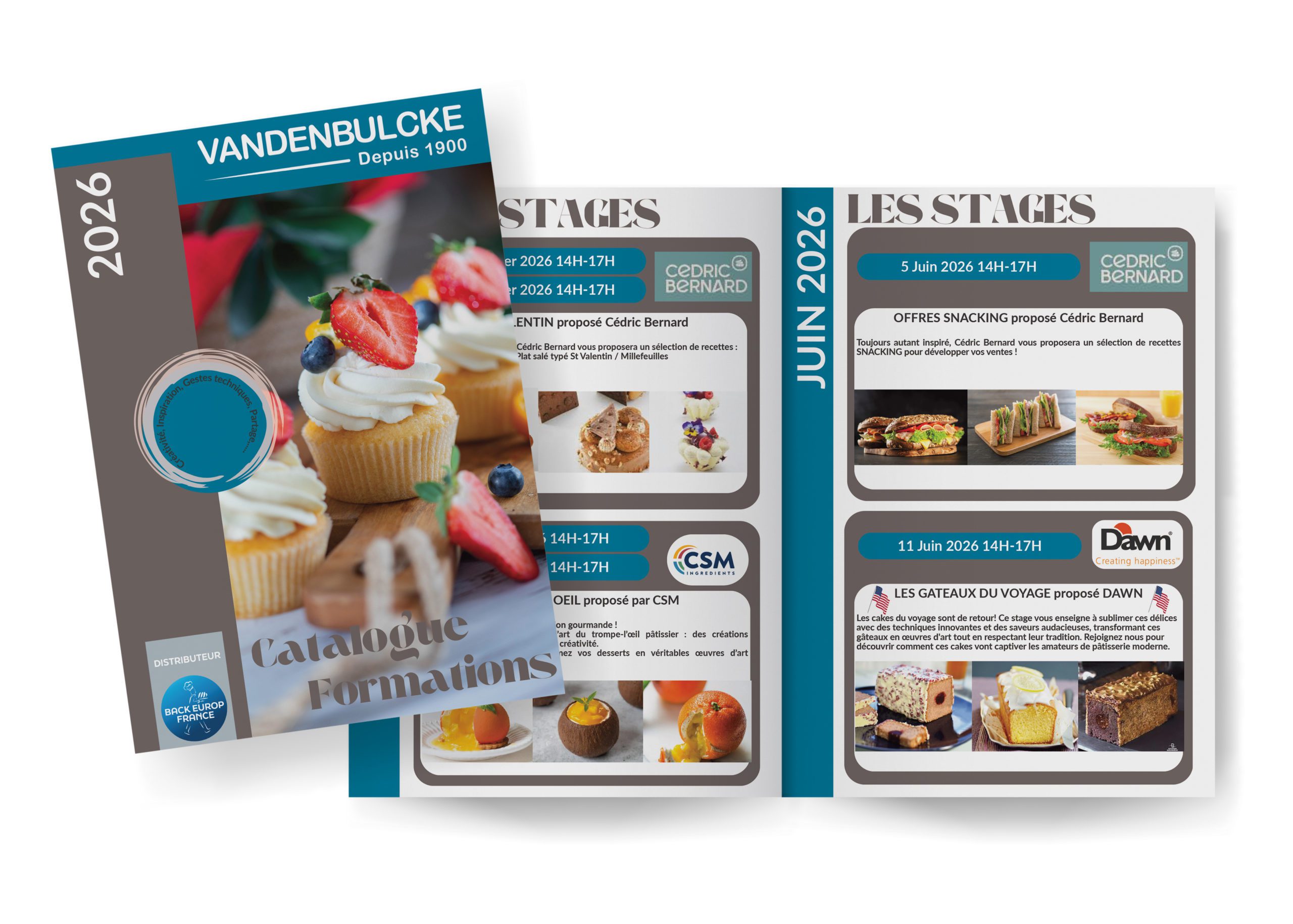 Blank book or magazine template mockup vector